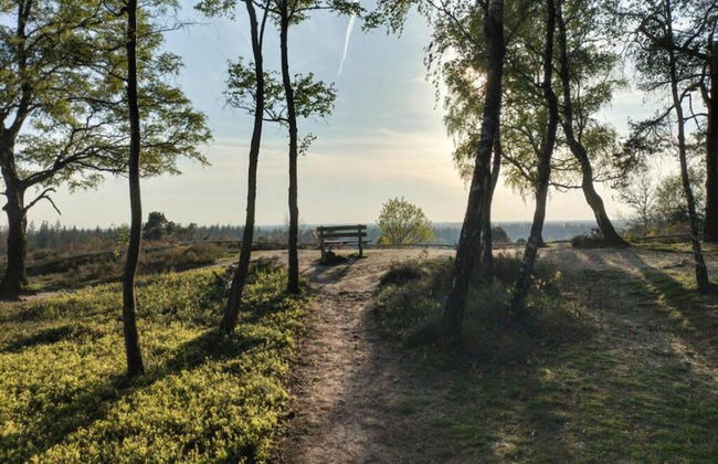 Holiday Home in Haarle Near Sallandse Heuvelrug - Foto 19