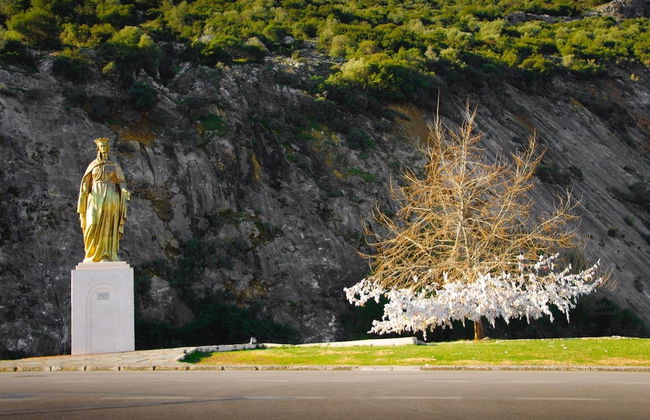 Silver Tower Residence - Foto 73