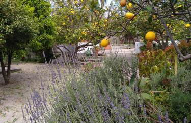 Residence Limoneto Ischia - Foto 42