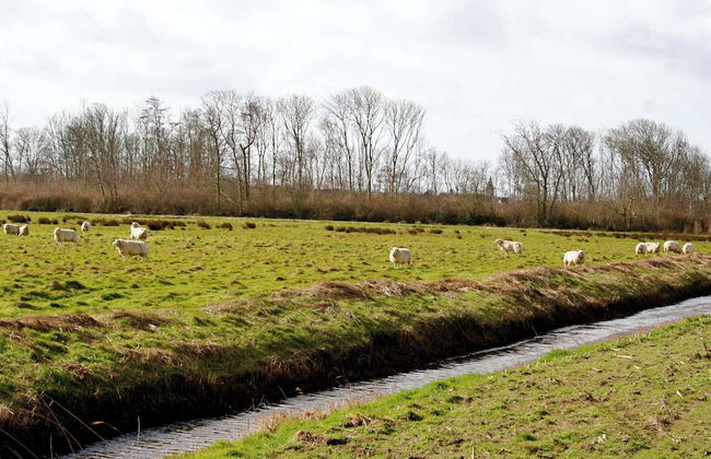 Cozy Villa in Wieringer Style near Wadden Sea - Foto 25
