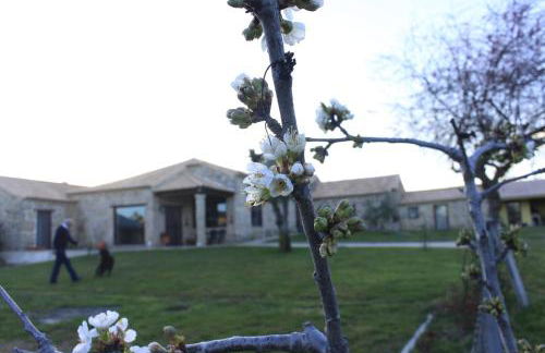 Quinta da Ribeira - Foto 17