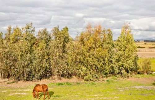 Homes in the Lagoons of Santa Giusta - Foto 65