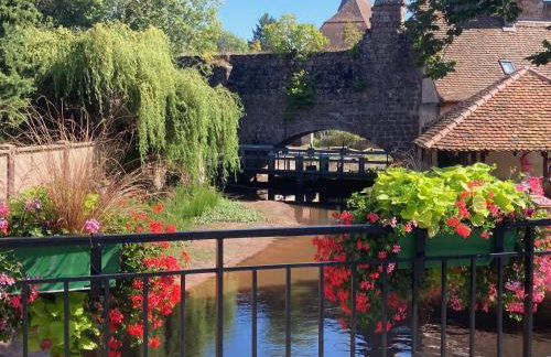 Charmante maison de 140m2 au bord de la rivière au coeur de Wissembourg - Foto 40