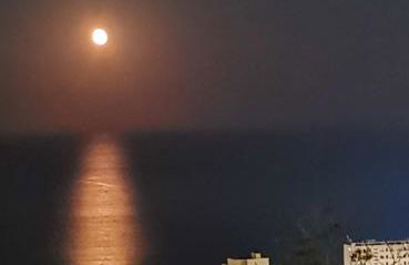 Appartement Vue Mer à Bastia, terrasse et piscine privée. - Photo 55