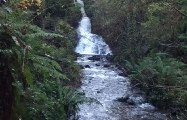 Large Sound Healing Retreat Cottage in West Wales - Foto 18