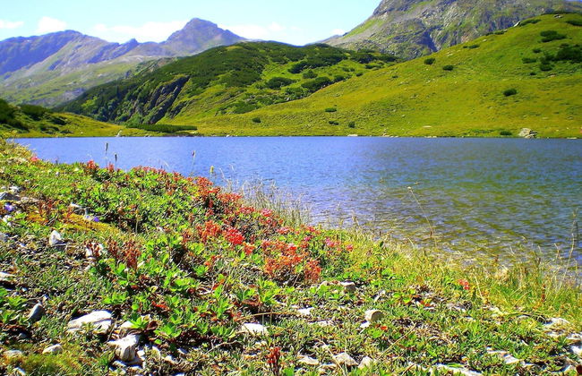 Apartment Dahoam - Foto 21