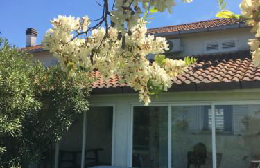 La collinetta sul mare - Foto 9