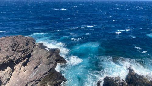 Casa Gran Danés - Photo 4