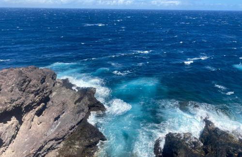 Casa Gran Danés - Foto 6