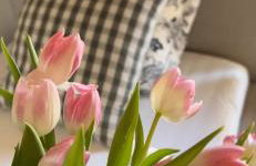 Owczarnia Tatry - Foto 80