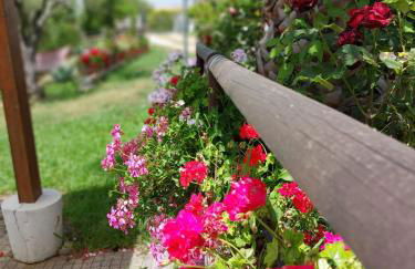 Zefiro Casa Vacanze - Foto 9