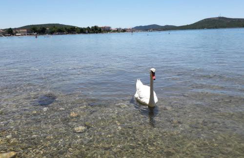 Apartman Soto - Photo 31