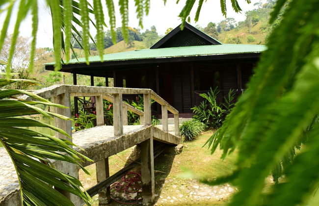 El Lago - Finca Agrituristica - Photo 8