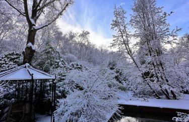 Paradiso Worpswede - Foto 10