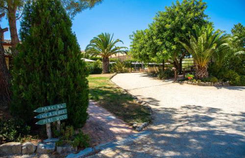 Agriturismo Casalicchio - Foto 45