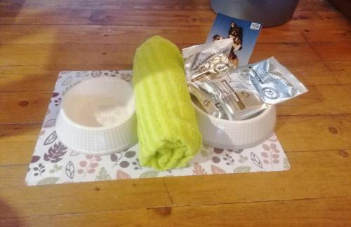 Boddenhus auf Rügen - Ferienwohnungen und Pension - Foto 55