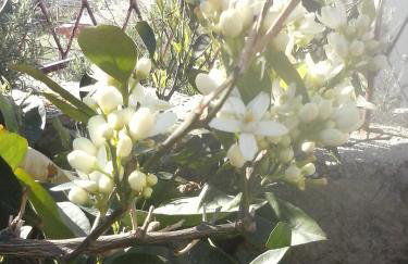 Apartments Jug - Foto 77