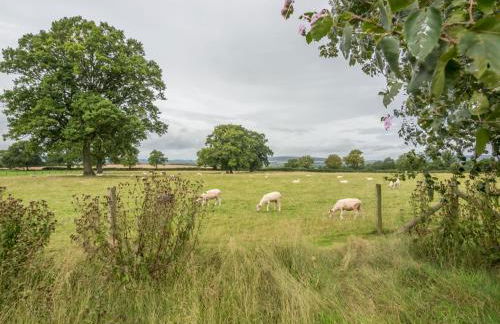 Bearwood Cottage - Foto 22