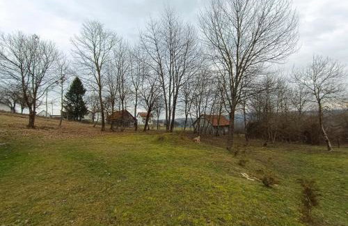 Šumski san - Foto 48