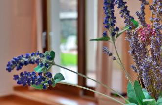 Casa del Mare - Oasi verde a soli 100m dal mare! - Foto 31