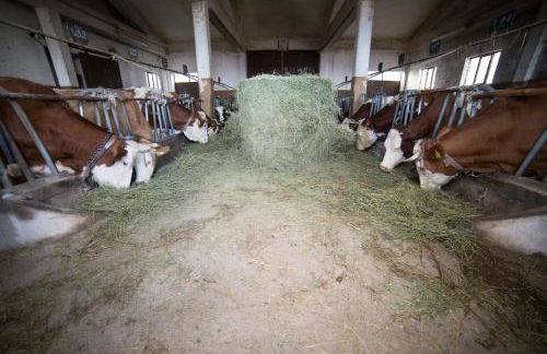 La Fattoria dei Sibillini - Foto 29