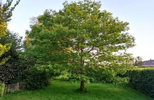 Ediths Haus - Foto 57