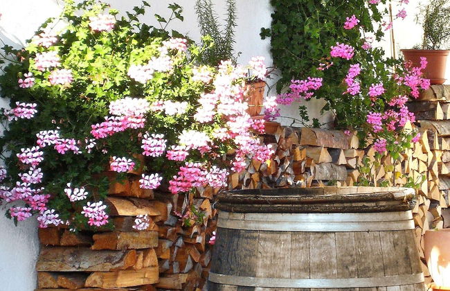 Gästehaus Bergwinkl - Foto 29