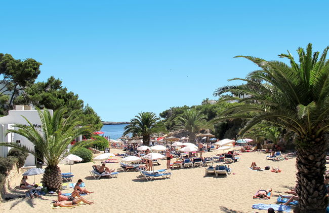 Ferrera Park - Foto 25