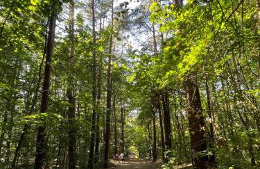 Klimatyzowany apartament przy plaży - 2 sypialnie, basen, garaż, Villa 4 Pory Roku - Foto 38