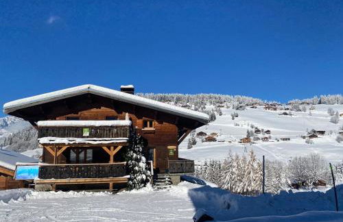 Les Georgières, 300m des pistes du Mont-Rond - Foto 39