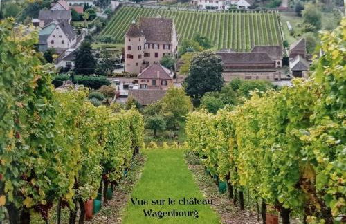 Un petit coin d’Alsace - Foto 29