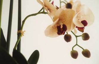 Luxury Apartment Conegliano Centro - Photo 16