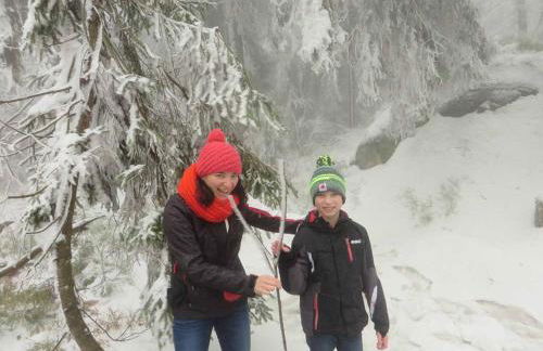 Ferienhaus Hornauer - Foto 38