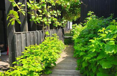 Eco-lodges Lacanau Moutchic Inn - 4 pers - Foto 7