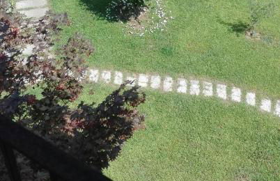 Agriturismo Pastorelli - Foto 10