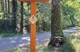 Ferienwohnung Harms - Foto 22