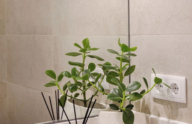 Cascais Modern & Quiet Retreat - Photo 20