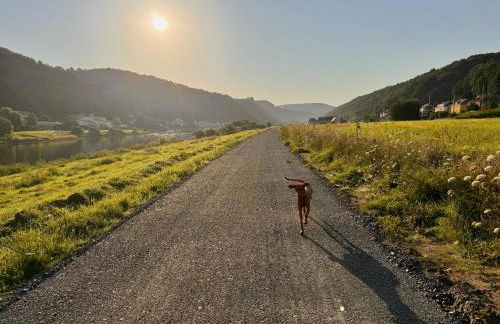 Ferienwohnung Lucy - Moderne Ferienwohnung mit kostenlosem Parkplatz, Terrasse, nahe Bad Schandau und Malerweg - Foto 14