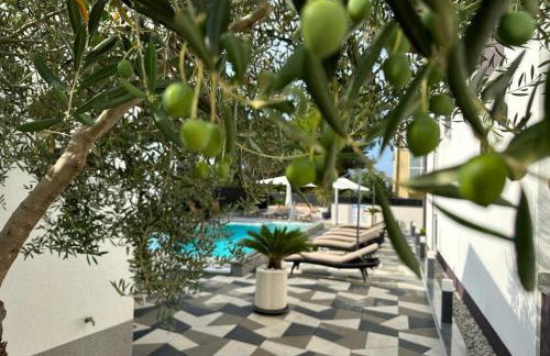 Apartments Laura 1 - Photo 16