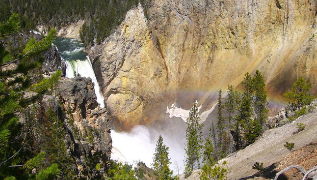 Canyon in Yellowstone