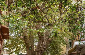 Infinity Villa - Foto 23