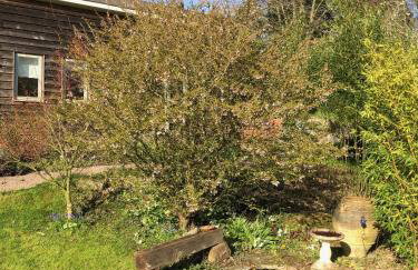 The Steppes Holiday Cottages - Foto 6