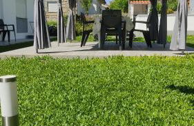 Casa dos Avós - Foto 73