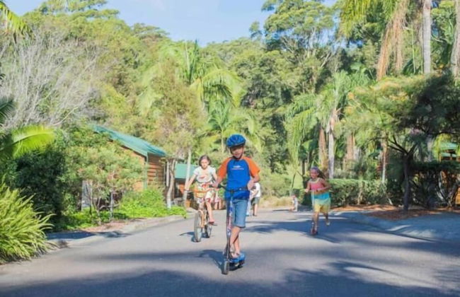 The Palms At Avoca - Photo 31