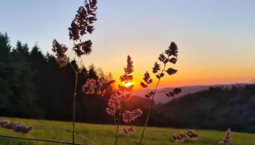 Gite l'Échapée Belle dans les Vosges - Foto 4