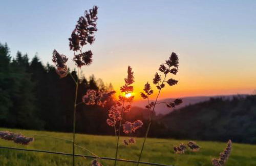 Gite l'Échapée Belle dans les Vosges - Foto 4