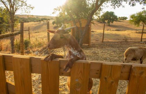 Reflexos D'Alma Turismo Rural - Foto 23