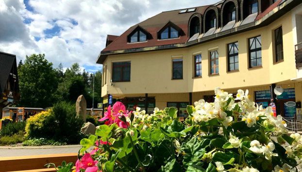 Harrachov Central Nest - Foto 4, House