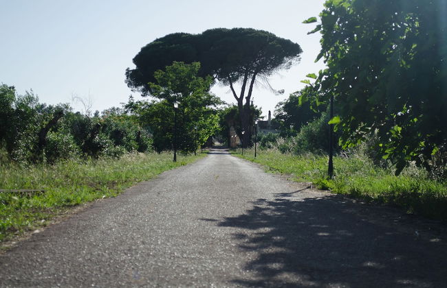 Agriturismo Capani - Photo 17