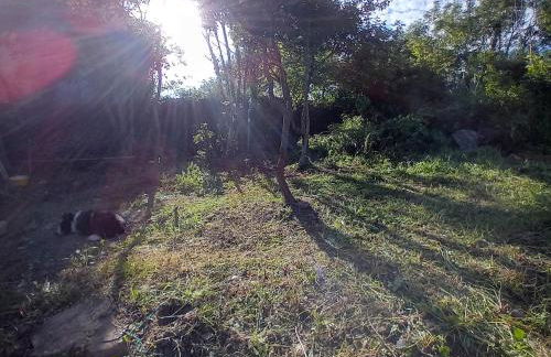 Old Farm renovated ,5 min from beach and forest - Foto 41